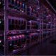 Cryptocurrency mining rigs in a data center.