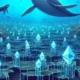 Ethereum Whales Stimulate Blockchain Activity and Trigger Market Speculation