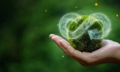 The role of blockchain in the transition towards a circular economy