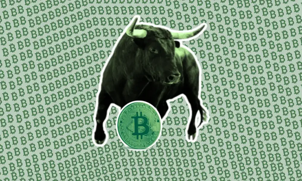 Top 5 Reasons Why 2024 Could Be a Bull Year for Cryptocurrencies