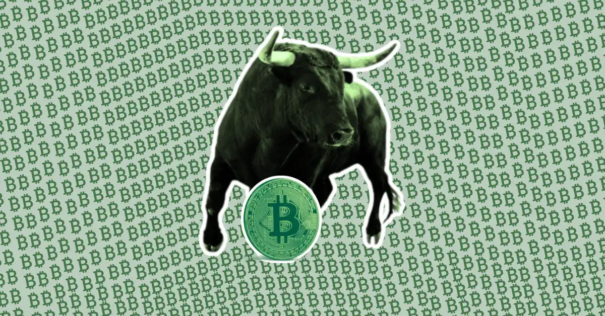 Top 5 Reasons Why 2024 Could Be a Bull Year for Cryptocurrencies