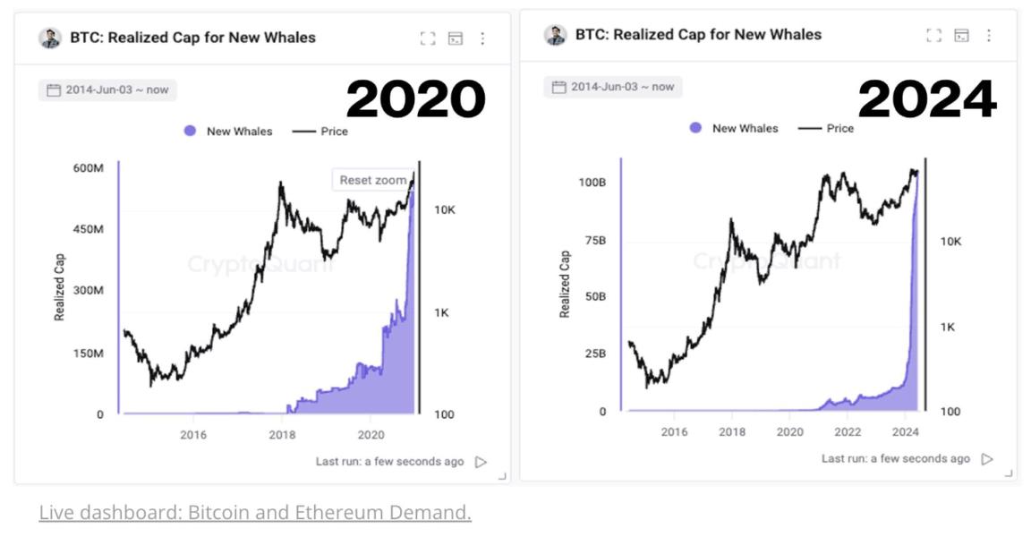 Bitcoin News Whales