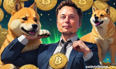 Elon Musk says NO to cryptocurrencies on Twitter!  Here because!