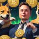 Elon Musk says NO to cryptocurrencies on Twitter!  Here because!