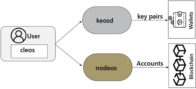 A scalable blockchain-based framework for efficient IoT data management using lightweight consensus