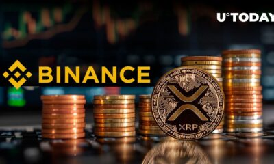 Binance Transfers 100 Million XRP to Mysterious Blockchain Whale, Buyer Revealed