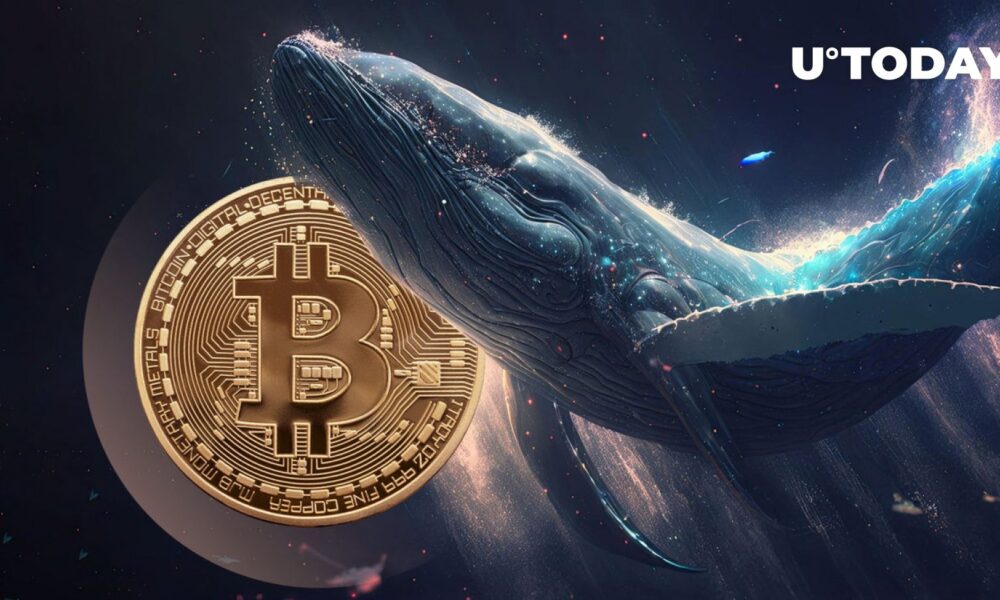 Bitcoin (BTC) receives $100 billion wave of new mega whales