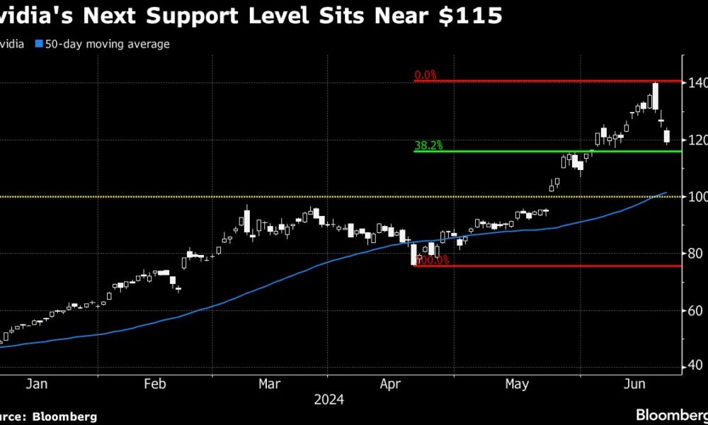 Bitcoin and Nvidia fall and shake up the market's get-rich-quick brigade