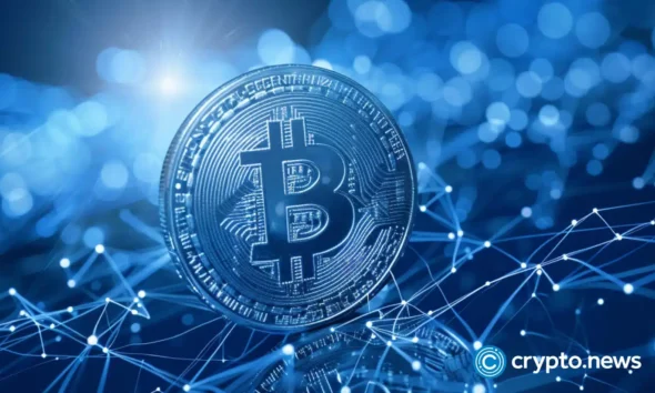 Bitcoin sees a rise in the number of short-term investors