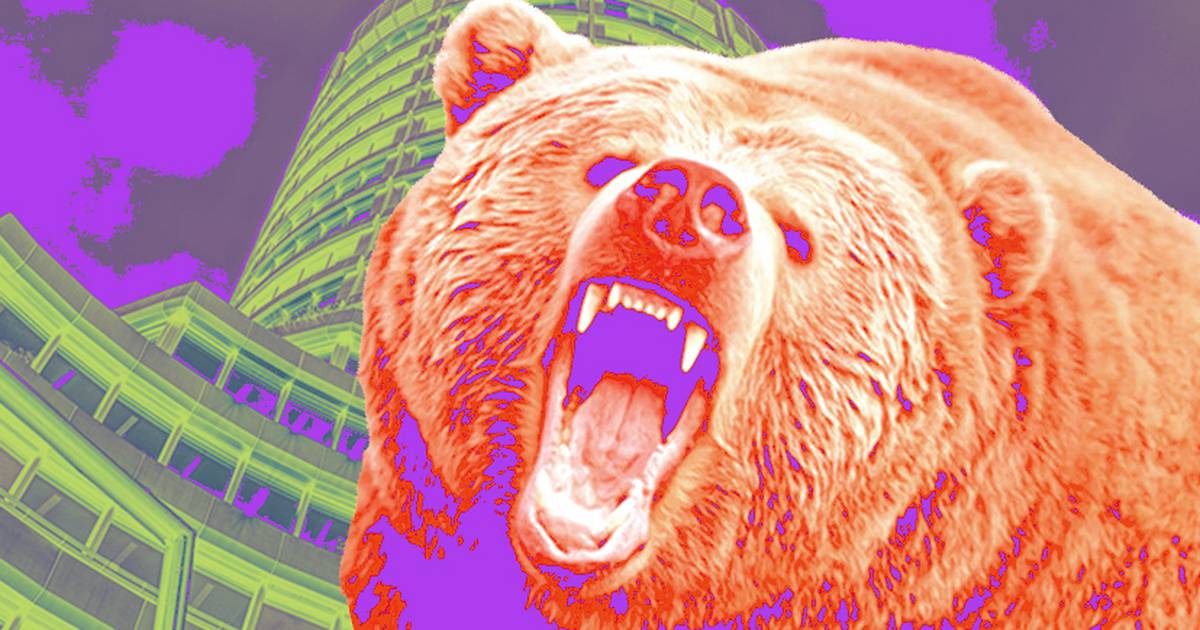 How Crypto Founders Are Preparing for the Next Bear Market – DL News