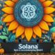 Solana's role in revolutionizing Web3 highlighted at Lagos Blockchain Week