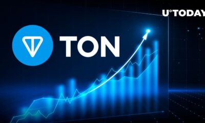 TON Blockchain NOT Coins Are Up 400% Over the Last 7 Days – What's Happening?