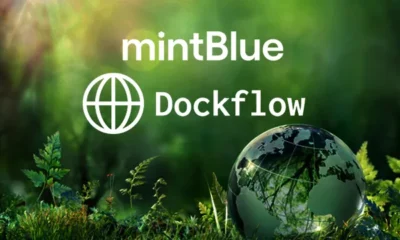 mintBlue and DockFlow logo with environmental background