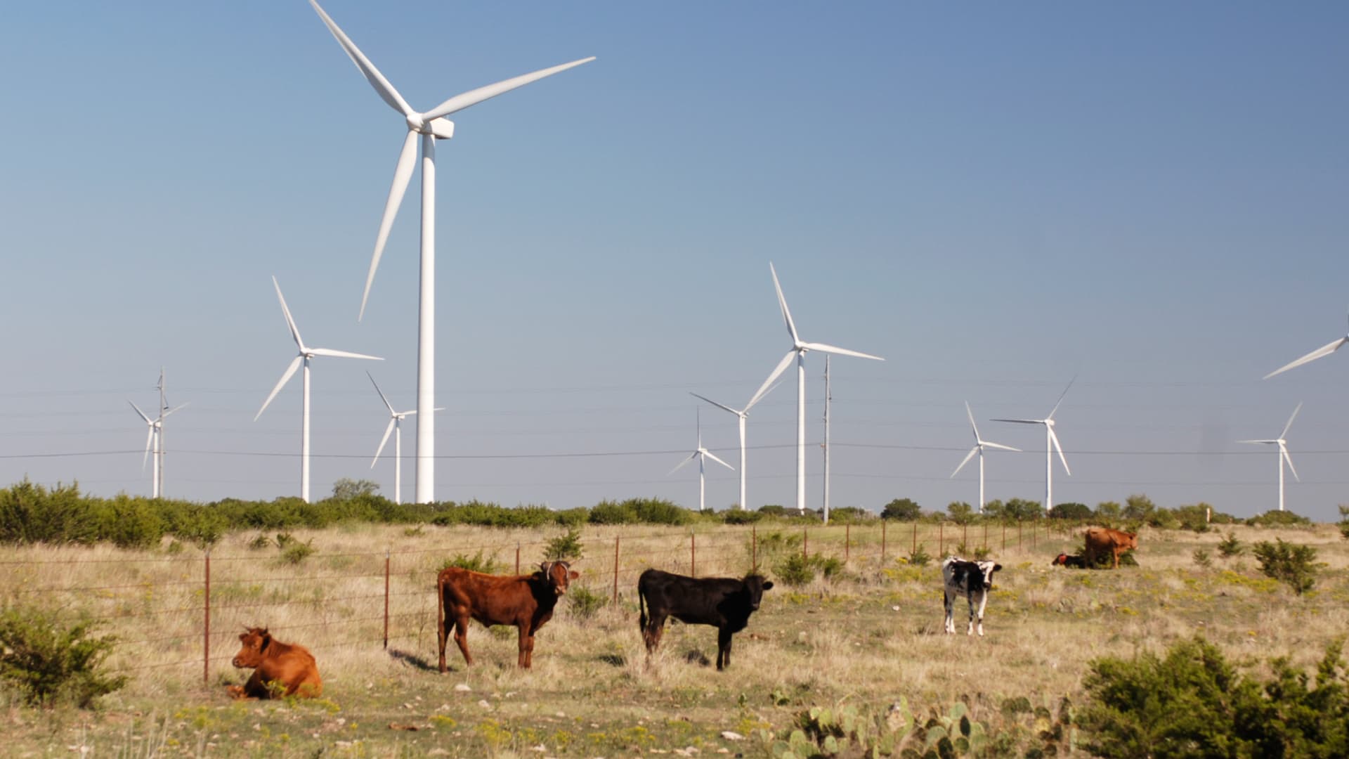 Texas Miners Leave Cryptocurrency for the Next Wave