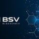 BSV Blockchain - Craig Wright