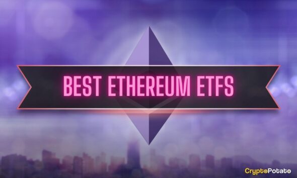 9 Best Ethereum (ETH) ETFs in 2024: Full Comparison, Fees, Alternatives