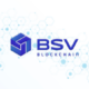 BSV Blockchain logo