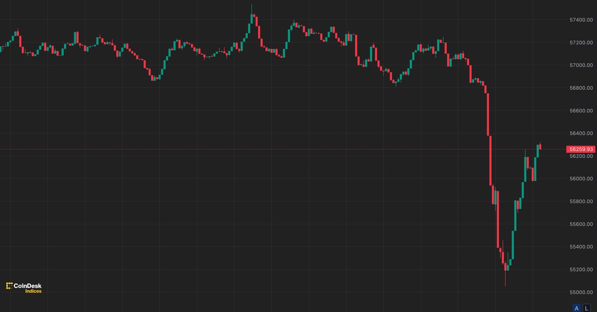 Bitcoin (BTC) Price Drops to $55K as German Government Moves Another $500 Million in Assets