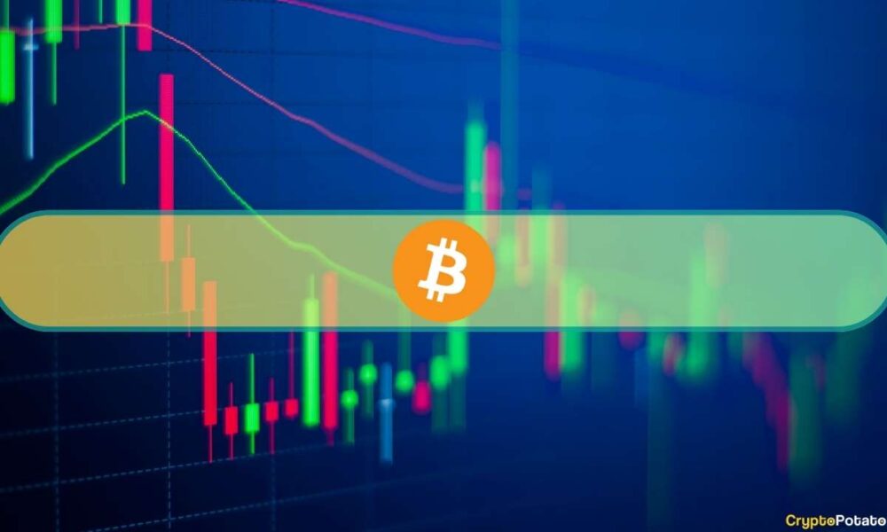 Bitcoin Surpasses $67K as Altcoins See Considerable Gains (Weekend Watch)