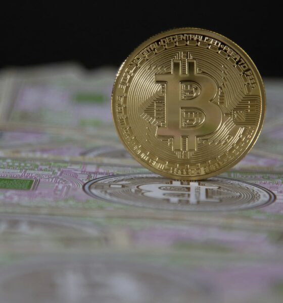 Bitcoin is holding support and poised to make another record run, according to the charts