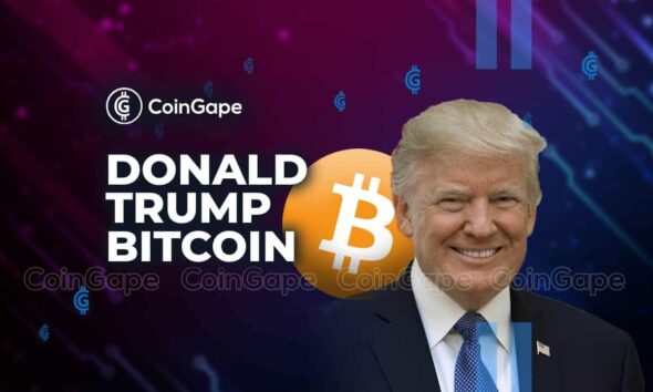 Cryptocurrency Entrepreneur Reveals Bitcoin Donation to Donald Trump