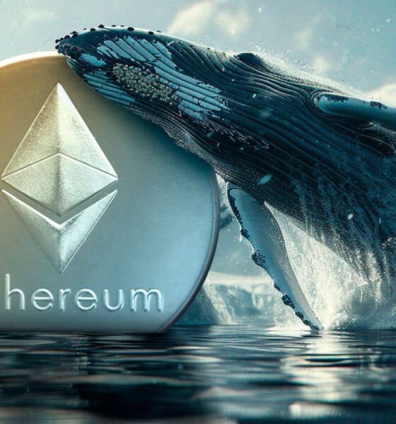 Ethereum (ETH) Surges 449% on Surprising Whale Activity Amid Market Drawdown