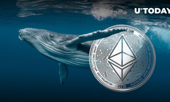 Former Ethereum (ETH) Whale Wakes Up Ahead of ETH Launch