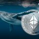 Former Ethereum (ETH) Whale Wakes Up Ahead of ETH Launch