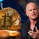 Novogratz Predicts Positive Cryptocurrency Regulation in the US Regardless of Election Results