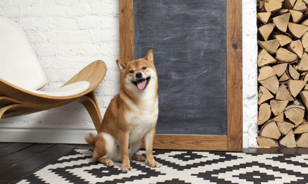 Shiba Inu Outperformed Bitcoin in H1 2024, But Can It Reach $1?