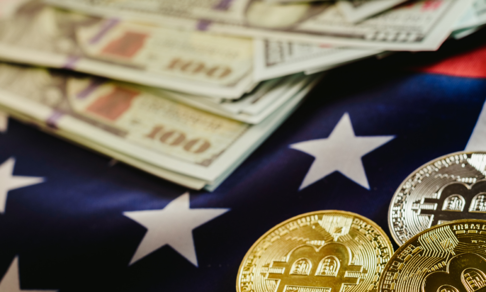 What does the 2024 US presidential election mean for cryptocurrency markets?