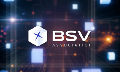 BSV Association logo