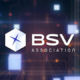 BSV Association logo